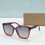 2023.7 Burberry Sunglasses Original quality-QQ (320)
