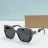 2023.7 Burberry Sunglasses Original quality-QQ (304)