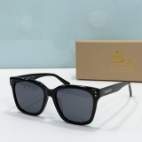 2023.7 Burberry Sunglasses Original quality-QQ (555)