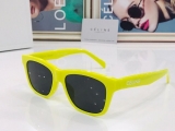 2023.7 Celine Sunglasses Original quality-QQ (154)