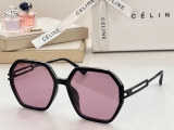 2023.7 Celine Sunglasses Original quality-QQ (123)