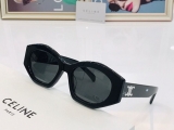 2023.7 Celine Sunglasses Original quality-QQ (151)