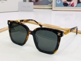 2023.7 Celine Sunglasses Original quality-QQ (180)