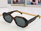 2023.7 Celine Sunglasses Original quality-QQ (202)