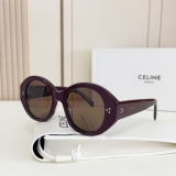 2023.7 Celine Sunglasses Original quality-QQ (168)
