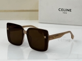 2023.7 Celine Sunglasses Original quality-QQ (193)