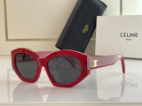 2023.7 Celine Sunglasses Original quality-QQ (311)