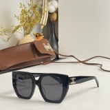 2023.7 Celine Sunglasses Original quality-QQ (279)