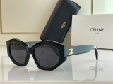 2023.7 Celine Sunglasses Original quality-QQ (309)