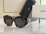 2023.7 Celine Sunglasses Original quality-QQ (312)