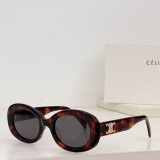 2023.7 Celine Sunglasses Original quality-QQ (371)