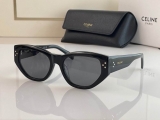 2023.7 Celine Sunglasses Original quality-QQ (399)