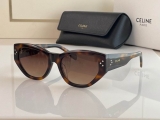 2023.7 Celine Sunglasses Original quality-QQ (398)