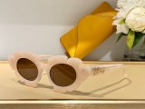 2023.7 Loewe Sunglasses Original quality-QQ (48)