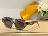 2023.7 Loewe Sunglasses Original quality-QQ (44)