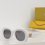 2023.7 Loewe Sunglasses Original quality-QQ (123)