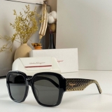 2023.7 Ferragamo Sunglasses Original quality-QQ (62)