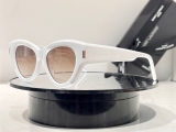 2023.7 YSL Sunglasses Original quality-QQ (254)