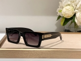 2023.7 YSL Sunglasses Original quality-QQ (443)