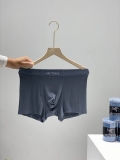 2023.11 Arctery Men underwear L-4XL (12)