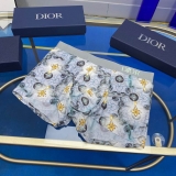 2023.11 Dior Men underwear L-3XL (11)