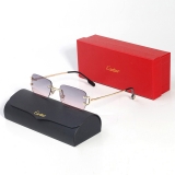 2023.11 Cartier Sunglasses AAA quality-MD (44)