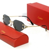 2023.11 Cartier Sunglasses AAA quality-MD (174)