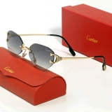 2023.11 Cartier Sunglasses AAA quality-MD (173)
