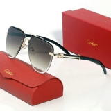 2023.11 Cartier Sunglasses AAA quality-MD (164)