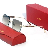2023.11 Cartier Sunglasses AAA quality-MD (151)