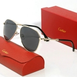 2023.11 Cartier Sunglasses AAA quality-MD (169)