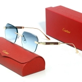 2023.11 Cartier Sunglasses AAA quality-MD (153)