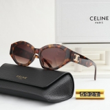 2023.11 Celine Sunglasses AAA quality-MD (9)