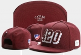2023.11 Cayler&Sons Snapbacks Hats-TY (326)