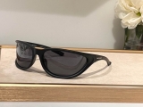 2023.12 Belishijia Sunglasses Original quality-QQ (395)
