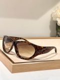 2023.12 Belishijia Sunglasses Original quality-QQ (377)