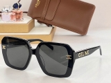 2023.12 Celine Sunglasses Original quality-QQ (476)