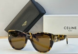 2023.12 Celine Sunglasses Original quality-QQ (419)