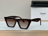 2023.12 Celine Sunglasses Original quality-QQ (410)
