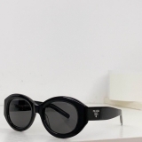 2023.12 Prada Sunglasses Original quality-QQ (2049)