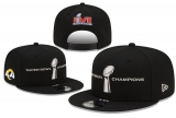2024.3 NFL Snapbacks Hats-TY (716)