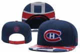 2024.3 NHL Snapbacks Hats-YD (10)