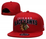 2024.3 NHL Snapbacks Hats-YD (17)