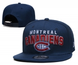 2024.3 NHL Snapbacks Hats-YD (9)