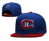 2024.3 NHL Snapbacks Hats-TX (40)