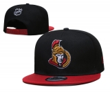 2024.3 NHL Snapbacks Hats-TX (23)