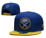 2024.3 NHL Snapbacks Hats-TX (38)