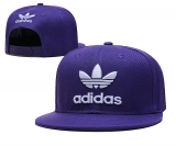 2024.3 Adidas Snapbacks Hats-TX (55)